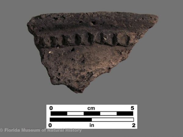 Lake Jackson Plain folded/pinched rim