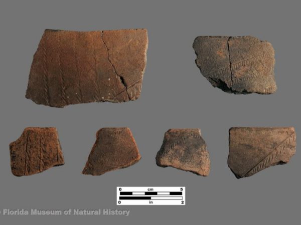 Gordon's Pass Incised (Glades series)