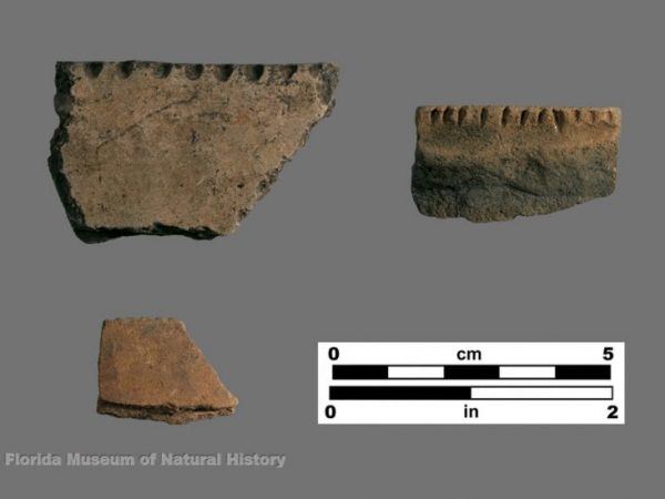 Fort Walton style ticked rims