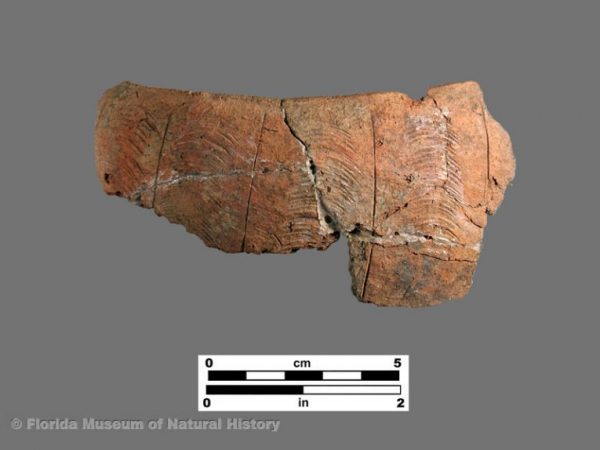 Opalocka Incised (Glades series)