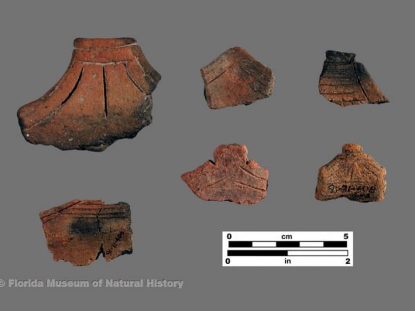 Surfside Incised-projections (Glades series)