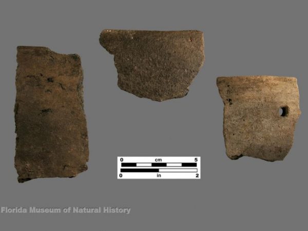 Glades Plain / sand-tempered plain (Glades series)