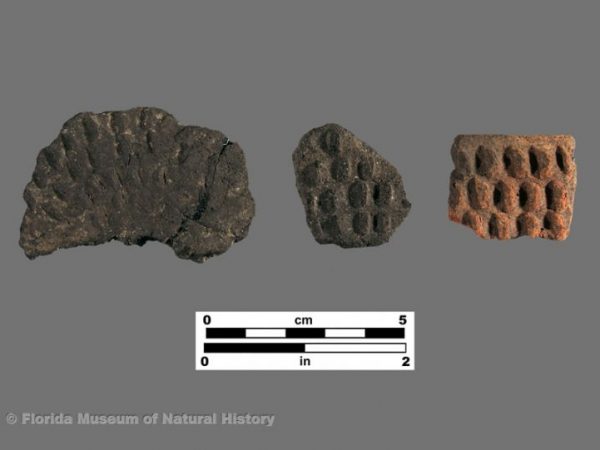 Plantation Pinched (Glades series)