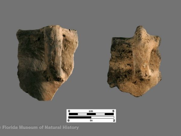 Lake Jackson Plain with Colono-ware handles