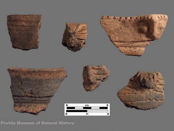 Lake Jackson Incised