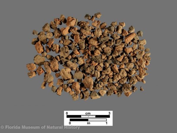 Grog or crushed potsherd temper (variable pottery series)