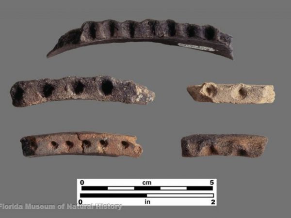 Glades Tooled (Glades series)