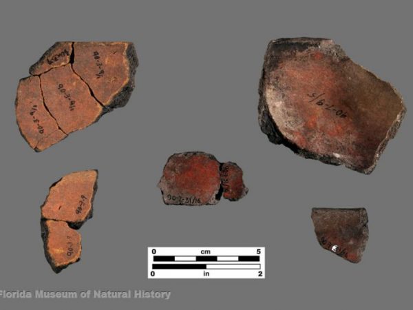 Glades Red (Glades series)