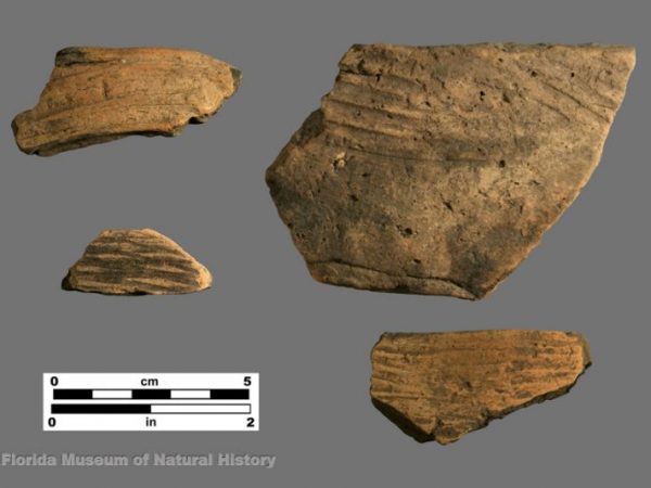 St. Johns Simple Stamped