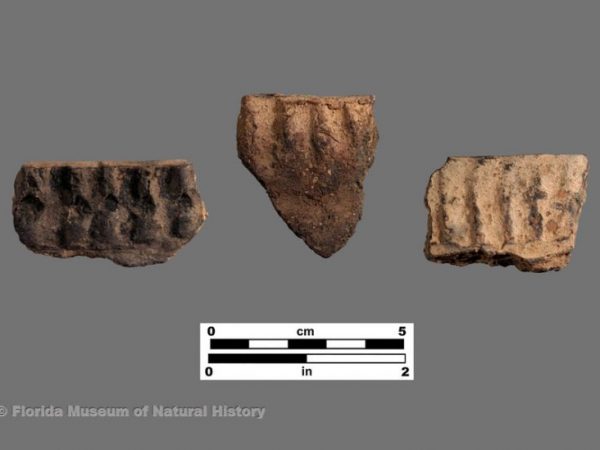 Lake Jackson Plain modified rims