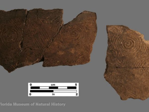 Tampa Complicated Stamped