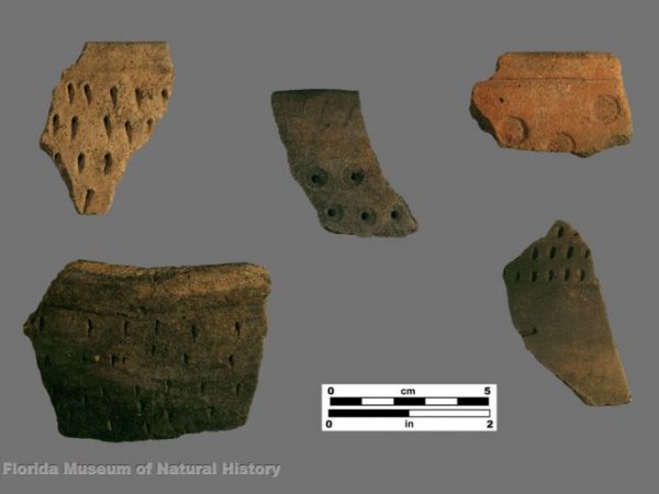 Carrabelle Punctated