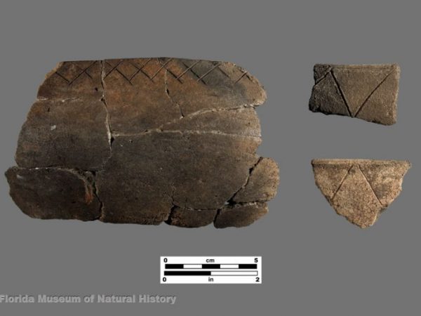 Matecumbe Incised (Glades series)