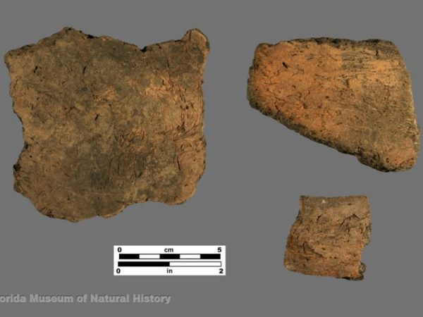 Orange Plain (Orange series), exterior surface