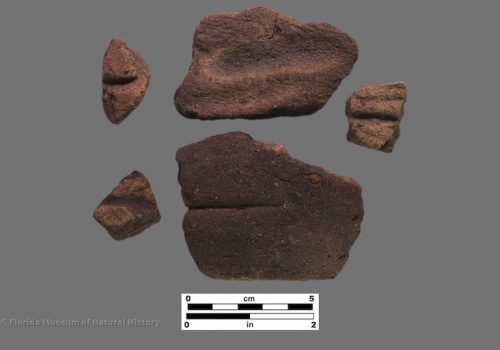 5 sherds with abraded lines or grooves