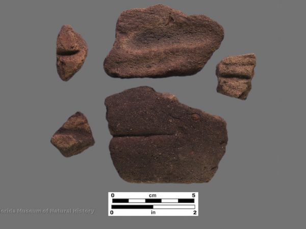 5 sherds with abraded lines or grooves