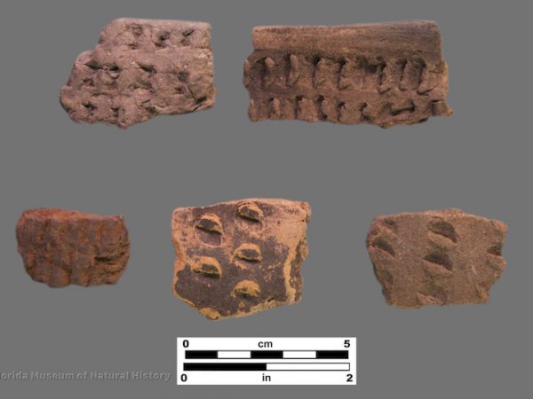 5 sherds with fingernail impressions and pinching