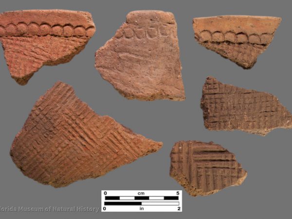 6 sherds with cross-hatched linear stamping and reed punctated rims