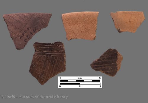 5 sherds with very fine interior engraving