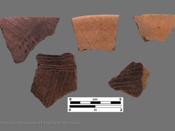 5 sherds with very fine interior engraving