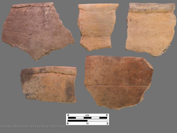 5 sherds of plain pottery