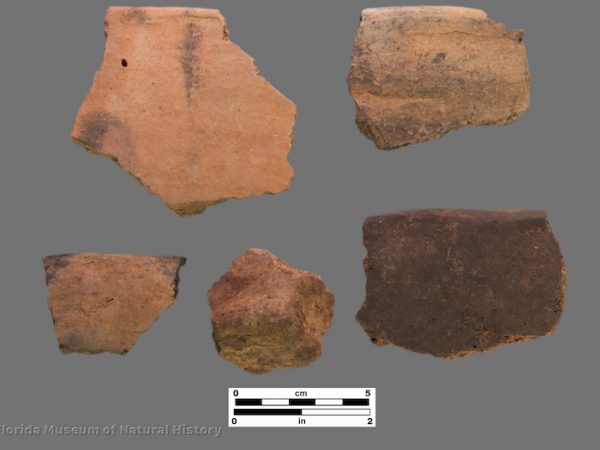 5 sherds of plain pottery