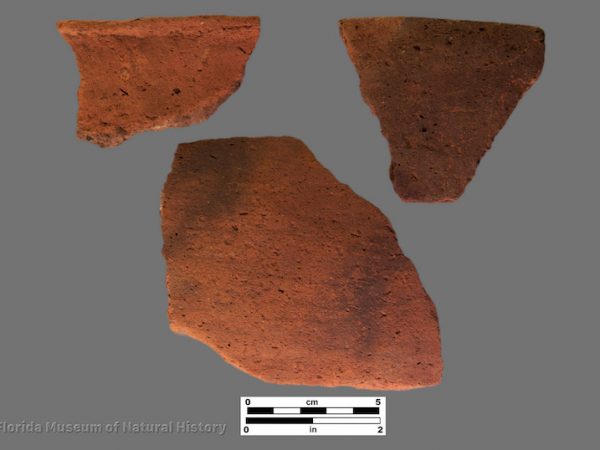 3 sherds of plain pottery