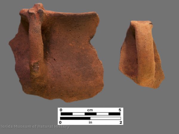2 sherds of plain pottery with handles