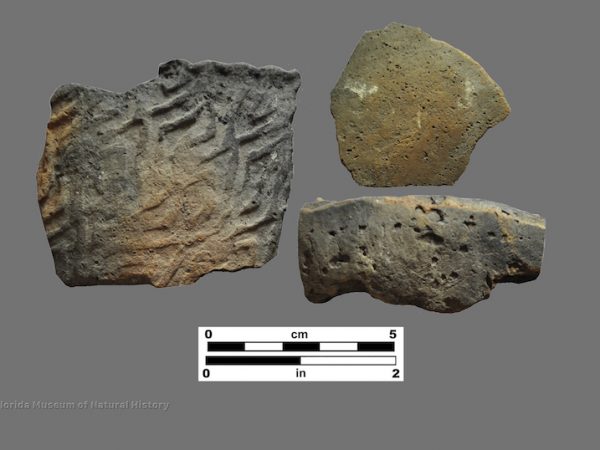 NE Florida sherds tempered with charred wood (charcoal temper)