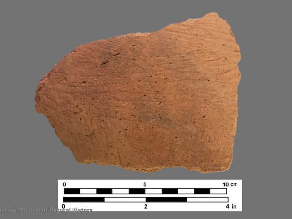 1 sherd with brushed surface