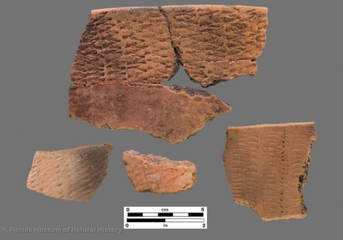 4 sherds with rocker stamping