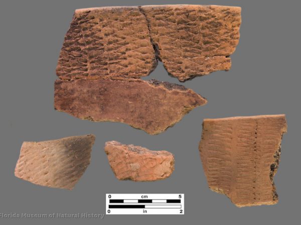 4 sherds with rocker stamping