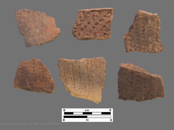 6 sherds with linear bands of punctations