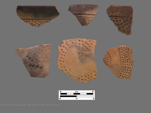 6 sherds with zones of triangular punctations