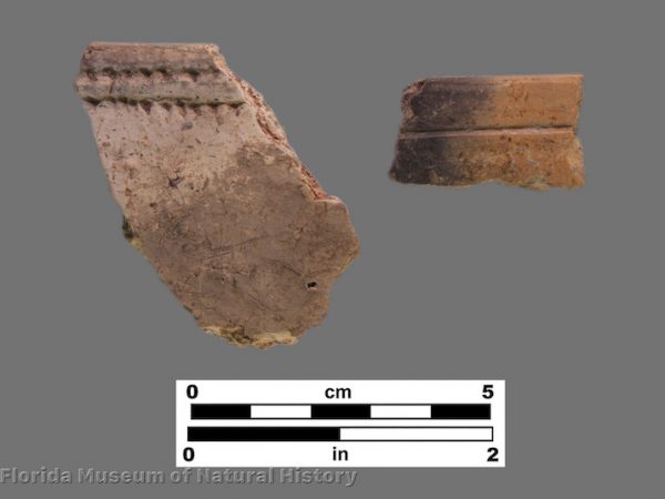 2 rim sherds with banding and punctation