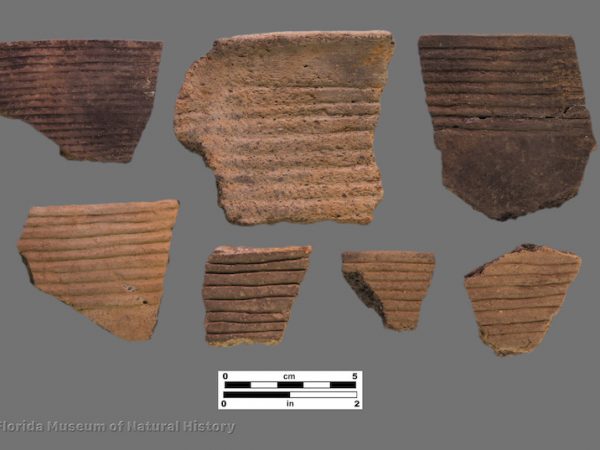 7 sherds with rims of parallel incised lines
