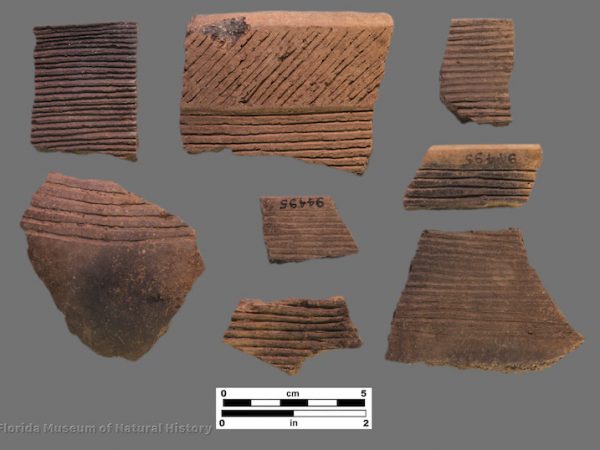 7 sherds with parallel incised bands