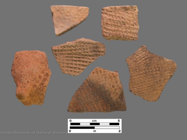 6 sherds with fine check stamping