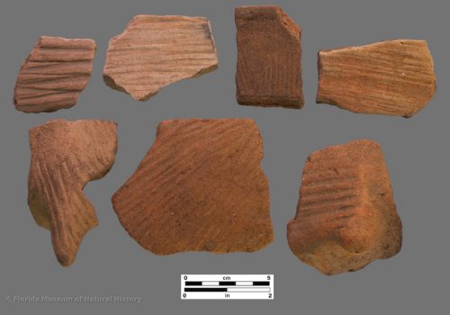 7 sherds with linear stamping