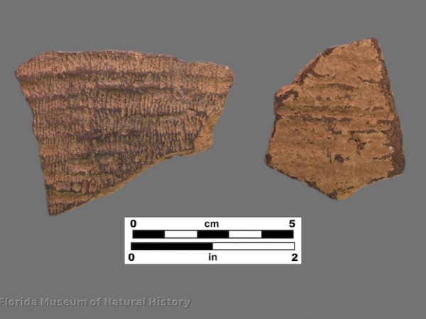 2 sherds with fine fabric impressions
