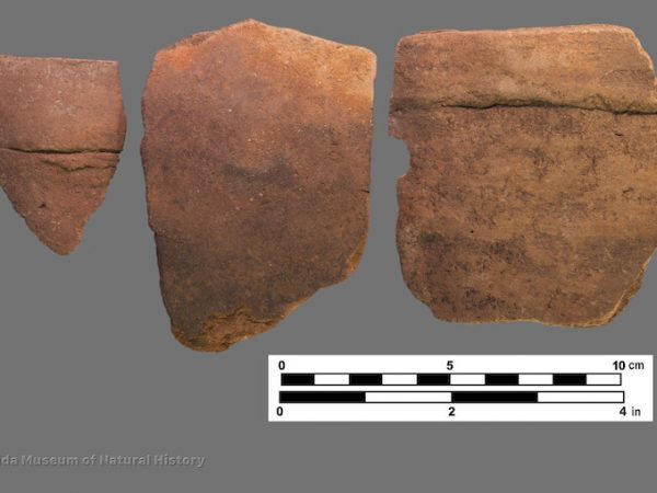 3 sherds of plain pottery