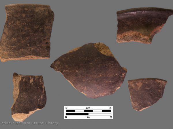 5 sherds of pottery with lustrous black film