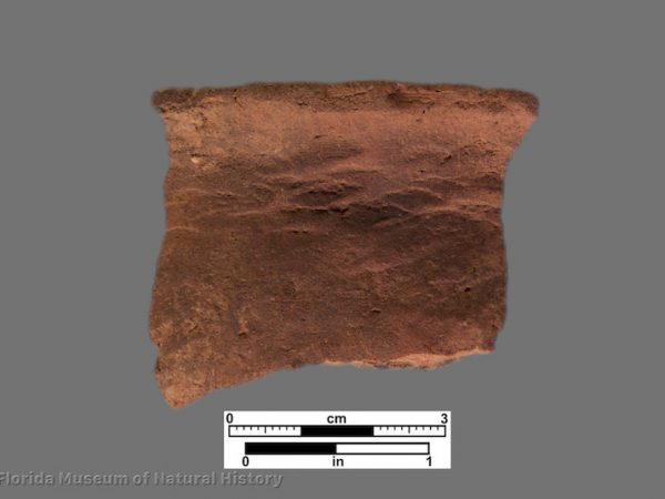 1 sherd with fingernail impressions below rim