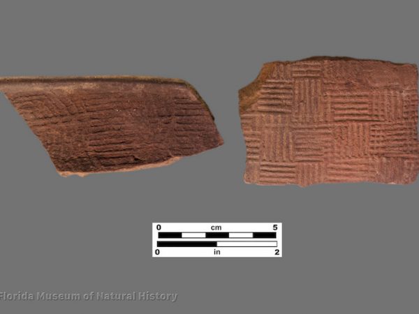 2 sherds with alternating stamped squares of parallel lines