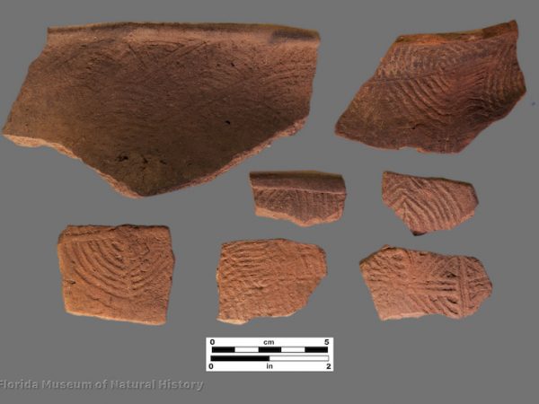 7 sherds of complicated stamped pottery with bullseye or rounded patterns