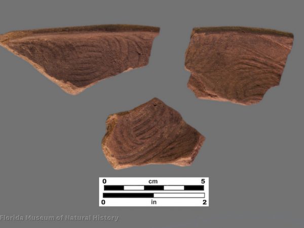 2 sherds complicated stamped pottery with curvilinear patterns