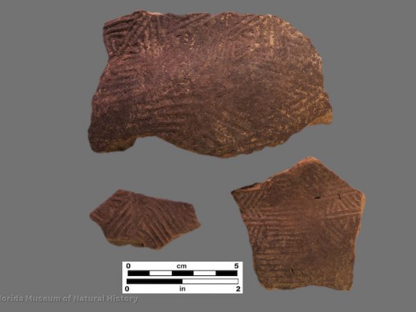 3 sherds complicated stamped pottery with arches or triangles