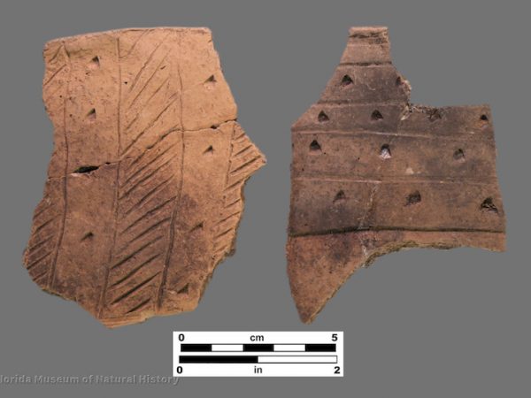 2 sherds with incising and triangular punctation