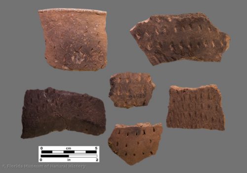 6 sherds with fingernail and similar impressions