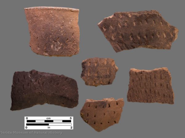 6 sherds with fingernail and similar impressions